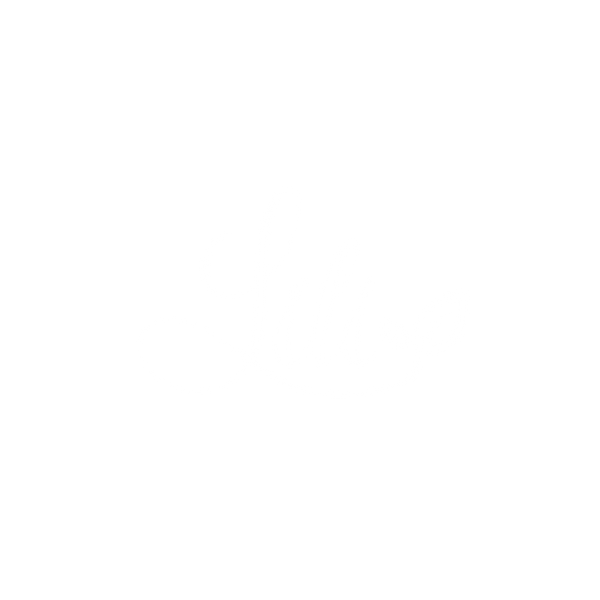 DR.Li Li